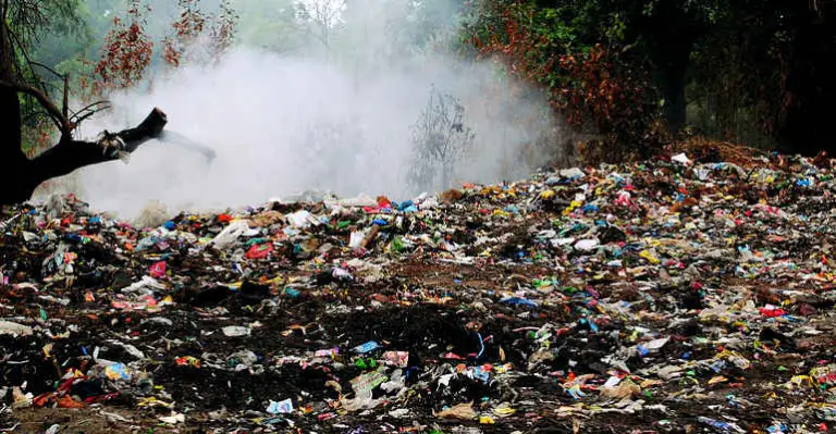 Ecomafie, cresce il trend dei reati contro l’ambiente